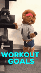 Cute Puppy Workout Goals GIF