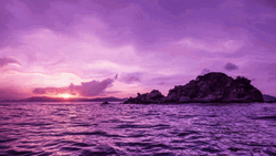Cute Purple Sunset Sea