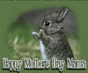Cute Rabbit Animation Happy Mother Day GIF
