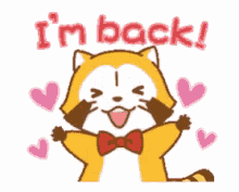 Cute Racoon Cartoon I'm Back GIF
