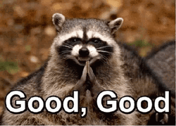 Cute Racoon Clapping Good Good GIF