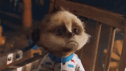 Cute Sad Animated Baby Meerkat Duckface  GIF