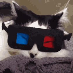 Cute Sleepy Cat Movie 3d Glasses