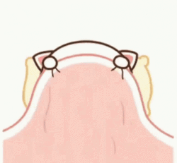 Cute Sleepy Kitten Playing Peekaboo GIF