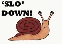 Cute Snail Art Slow Down GIF