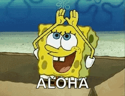 Cute SpongeBob Rainbow Aloha GIF