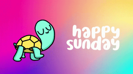 Cute Sunday Tortoise Walking GIF