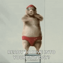 Cute Swimmer Beaver Ready To Dive Funny Monday GIF
