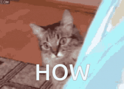 Cute Tabby Cat Sneaking How Meme GIF