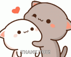 Cute Thank You Couple Cats GIF