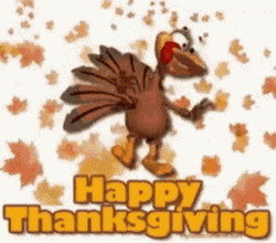 Cute Thanksgiving Autumn Crazy Turkey GIF