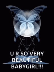 Cute Transparent Butterfly GIF