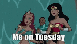Cute Tuesday Wonder Woman Fight GIF