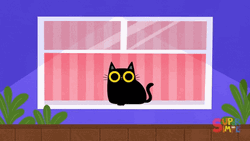 Cute White Cat Bluffing GIF