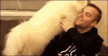 Cute White Dog Hug GIF