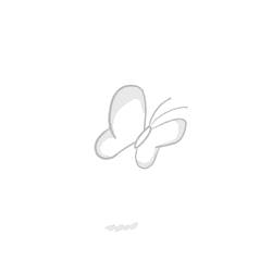 Cute White Doodle Butterfly