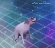 Cute White Little Dog Funny Dancing GIF