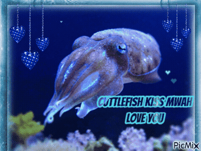 Cuttlefish Saying Cuttlefish Kiss Mwah Love You GIF