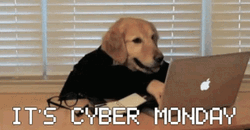 Cyber Monday Dog Typing Laptop Online Shopping