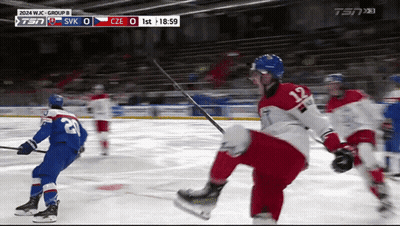 Czechoslovakia Vs Slovakia Hockey Game GIF