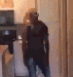 Dab Disappear Meme GIF