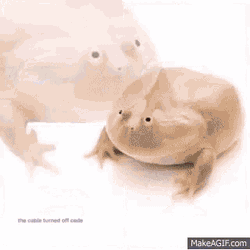 Dabfrogforclara Triggered GIF