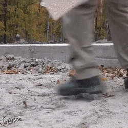 Dachshund Digging GIF