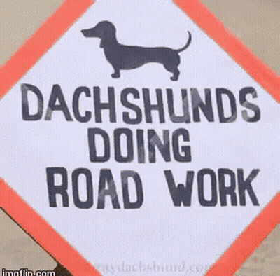 Dachshund Doing Road Work Sign