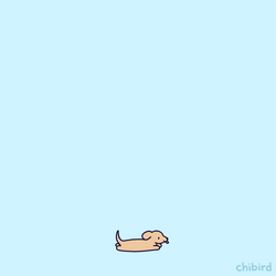Dachshund Flying Stay Strong  GIF