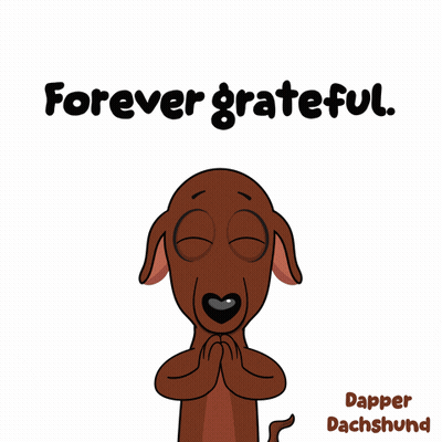 Dachshund Forever Grateful GIF