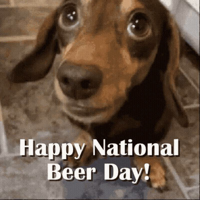 Dachshund Happy National Beer Day GIF