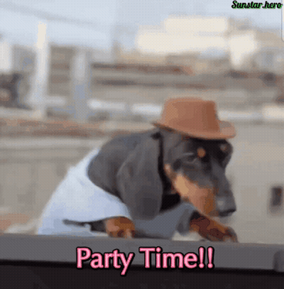 Dachshund In Cowboy Hat And Blue Shirt Says Party Time GIF