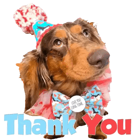 Dachshund In Party Hat And Bow Tie Thank You Sticker