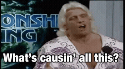 Dachshund Saying Here We Go Again GIF