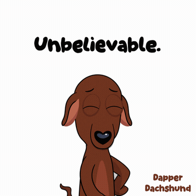 Dachshund Saying Unbelievable GIF