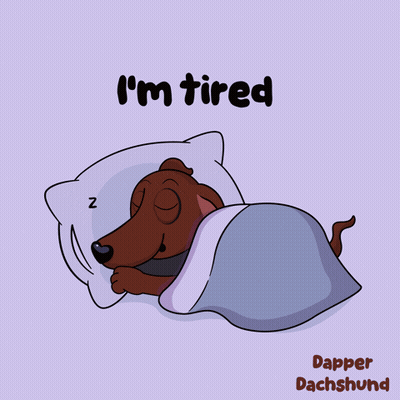 Dachshund Sleeping Saying I'm Tired GIF