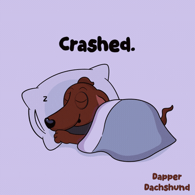 Dachshund Sleeping Under Blanket Crashed GIF