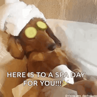 Dachshund Wearing Cucumber Slices On Eyes GIF