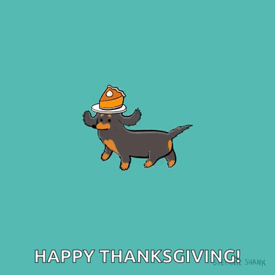 Dachshund Wearing Hat With Pumpkin On Head GIF