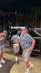Dad Joke Similar Shirts Happy Dance  GIF