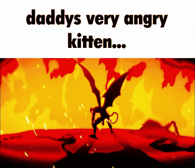 Daddy's Very Angry Kitten On Red Background GIF
