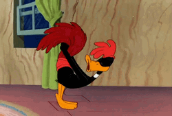 Daffy Duck Chicken Costume GIF