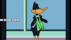 Daffy Duck Me Before And After Covid Meme GIF