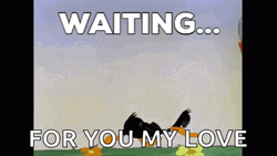 Daffy Duck Waiting Patiently For You My Love GIF