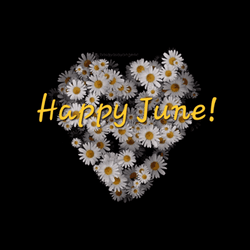 Daisies Happy June GIF
