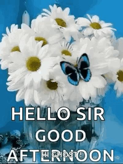 Daisies In Vase With Blue Butterfly GIF