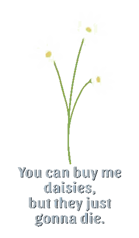 Daisies Saying They Will Die Sticker