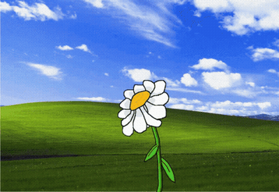 Daisy In Field With Blue Sky GIF
