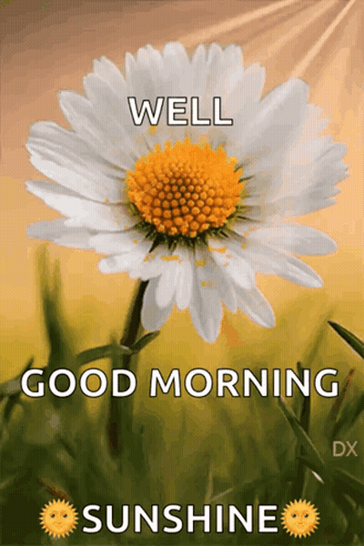 Daisy Saying Well Good Morning Sunshine GIF