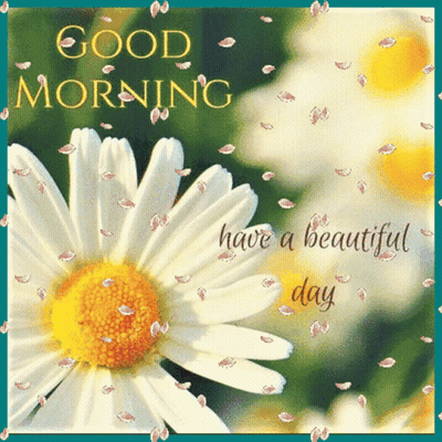 Daisy With Good Morning Have A Beautiful Day GIF